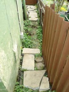Weg hinter der Laube