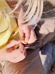 Ohne Kindergarten Natur erkunden