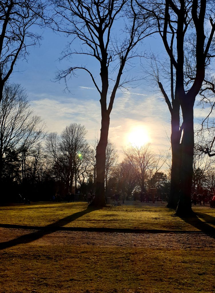 Wochenende in Bildern 23./24.2 Samstag Sonne genießen