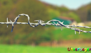 Beitrag Müssen Strafen sein? | Unverbogen Kind Sein