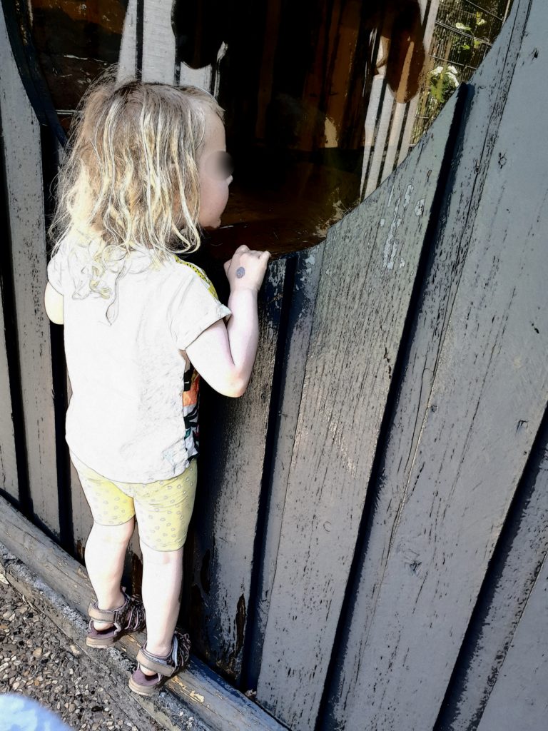 im Tierpark