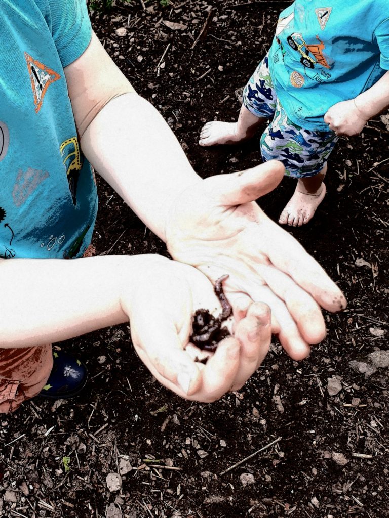 Würmer aus dem Garten