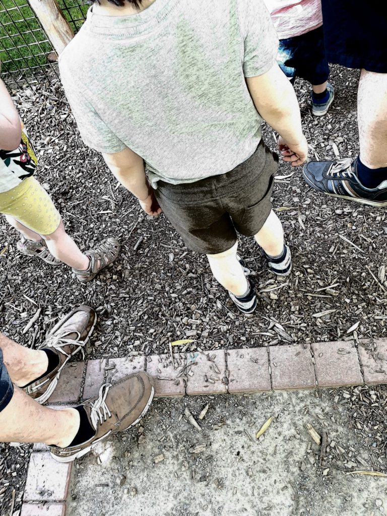 Tierpark mit Freunden