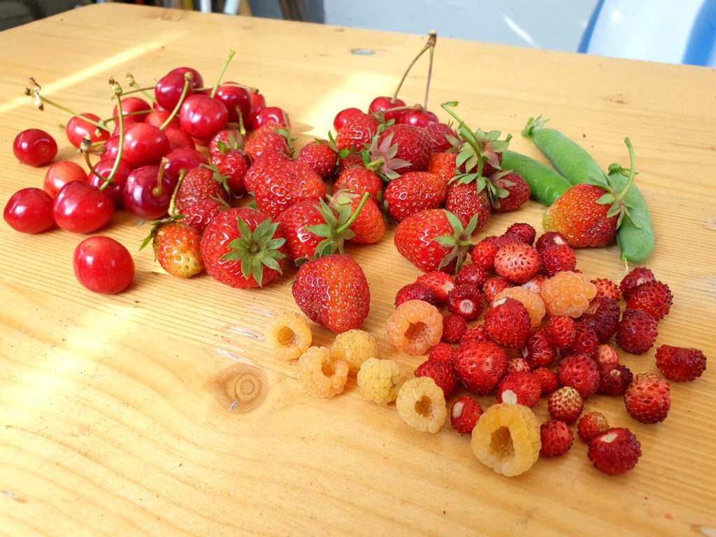 Kirschen Erdbeeren Himbeeren Erbsen