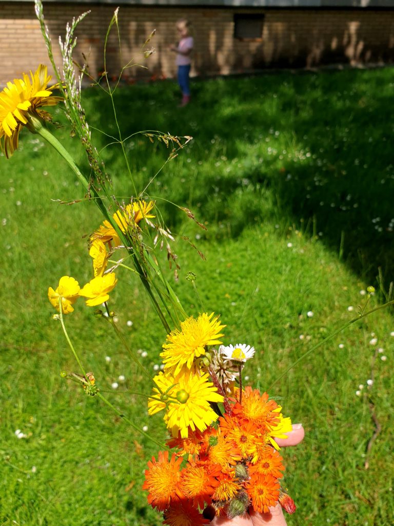 Blumenstrauß pflücken