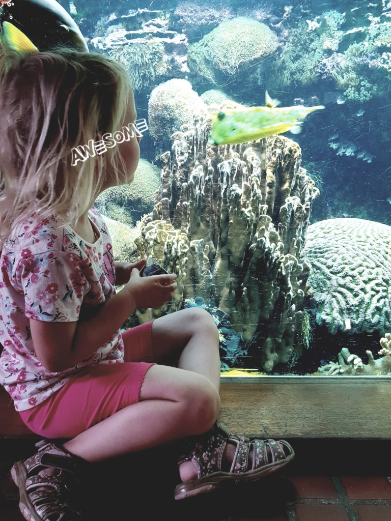Aquarium