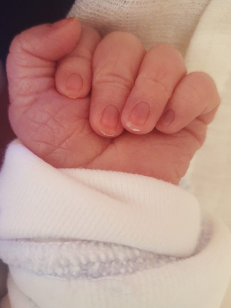 Wochenende in Bildern November19 Babyhand