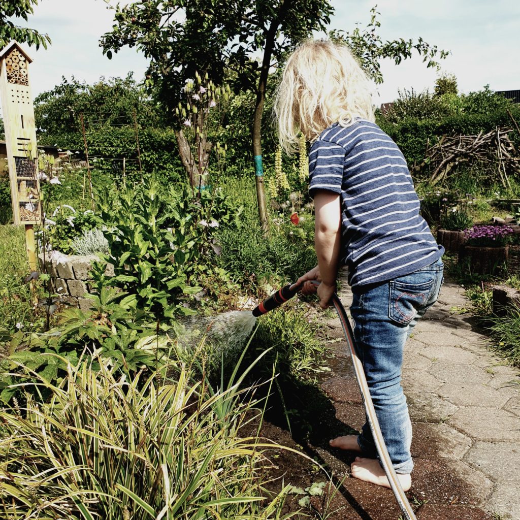 Gartenarbeit: Im Garten gibt es Regeln